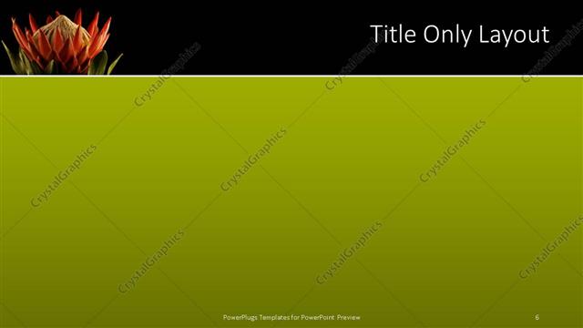 Title Only presentation slide layout