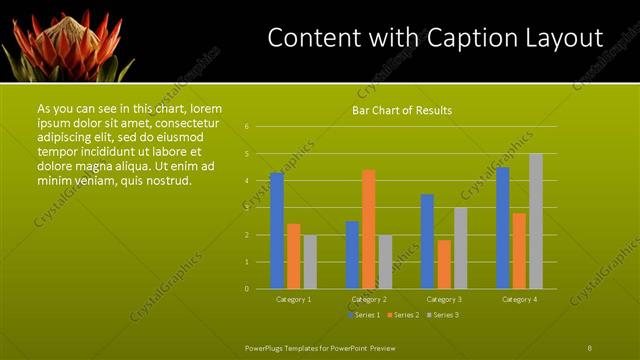 Content with Caption presentation slide layout
