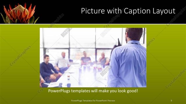 Picture with Caption presentation slide layout