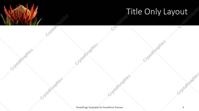 Title Only presentation slide layout