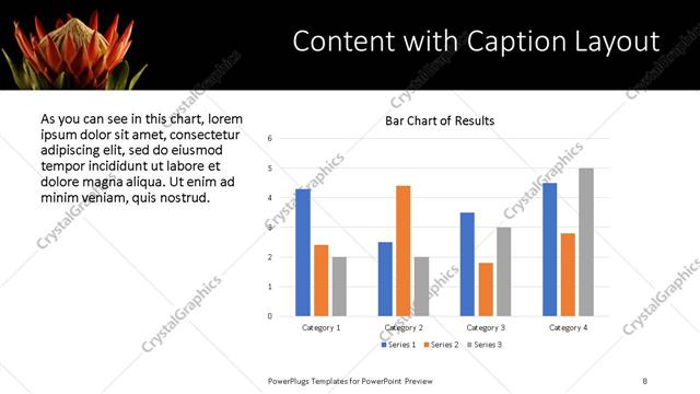 Content with Caption presentation slide layout