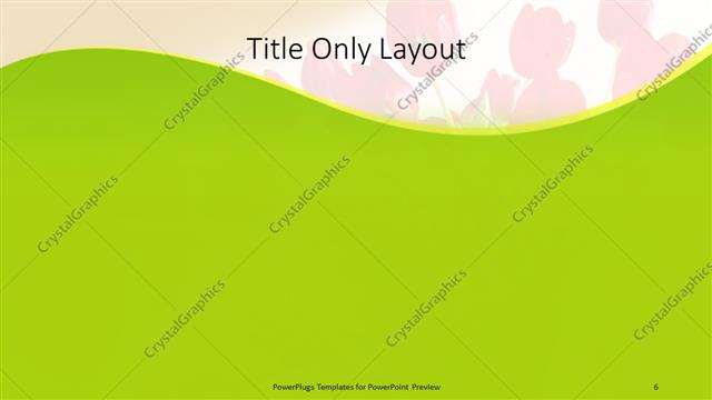 Title Only presentation slide layout