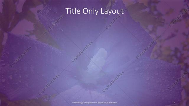 Title Only presentation slide layout