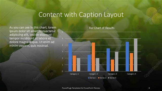 Content with Caption presentation slide layout