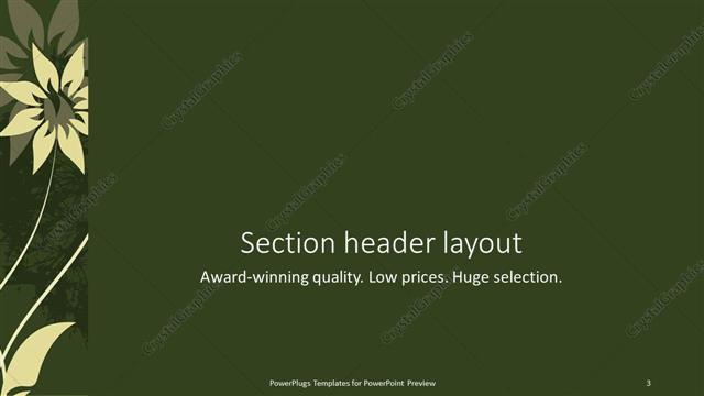 Section Header presentation slide layout