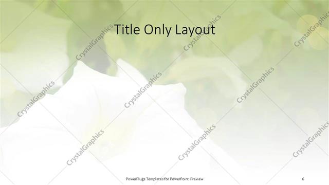 Title Only presentation slide layout