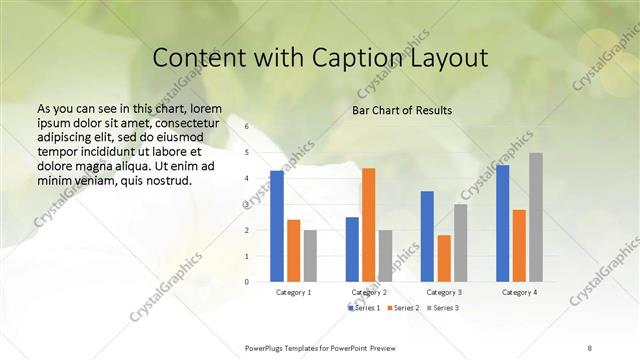 Content with Caption presentation slide layout
