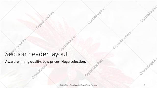 Section Header presentation slide layout