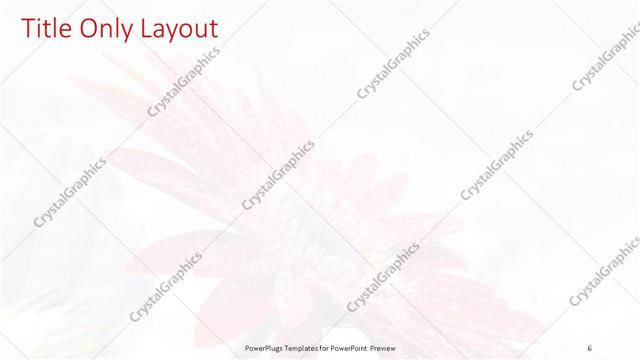 Title Only presentation slide layout