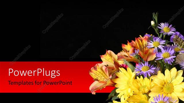  Presentation with corner - Beautiful flowers in right bottom corner over black background?