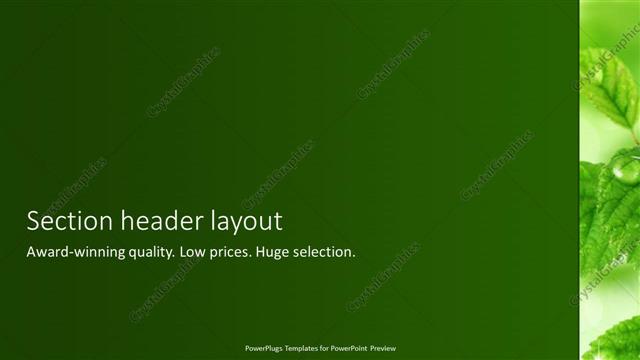 Section Header presentation slide layout