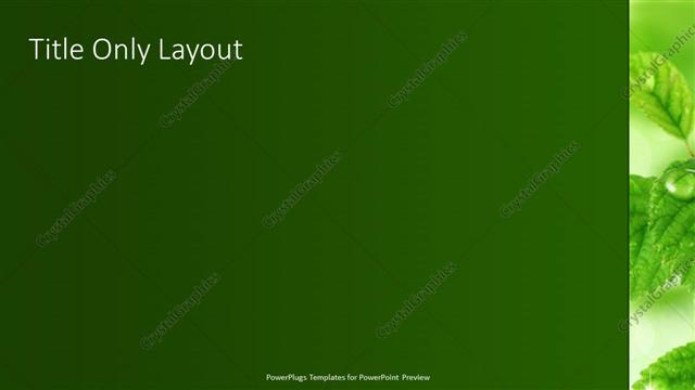 Title Only presentation slide layout