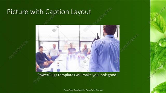 Picture with Caption presentation slide layout