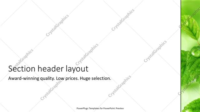 Section Header presentation slide layout