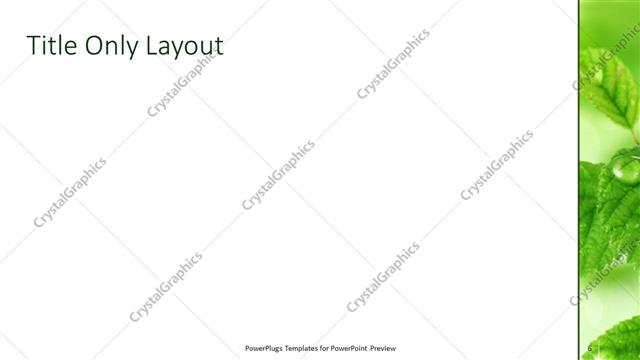 Title Only presentation slide layout