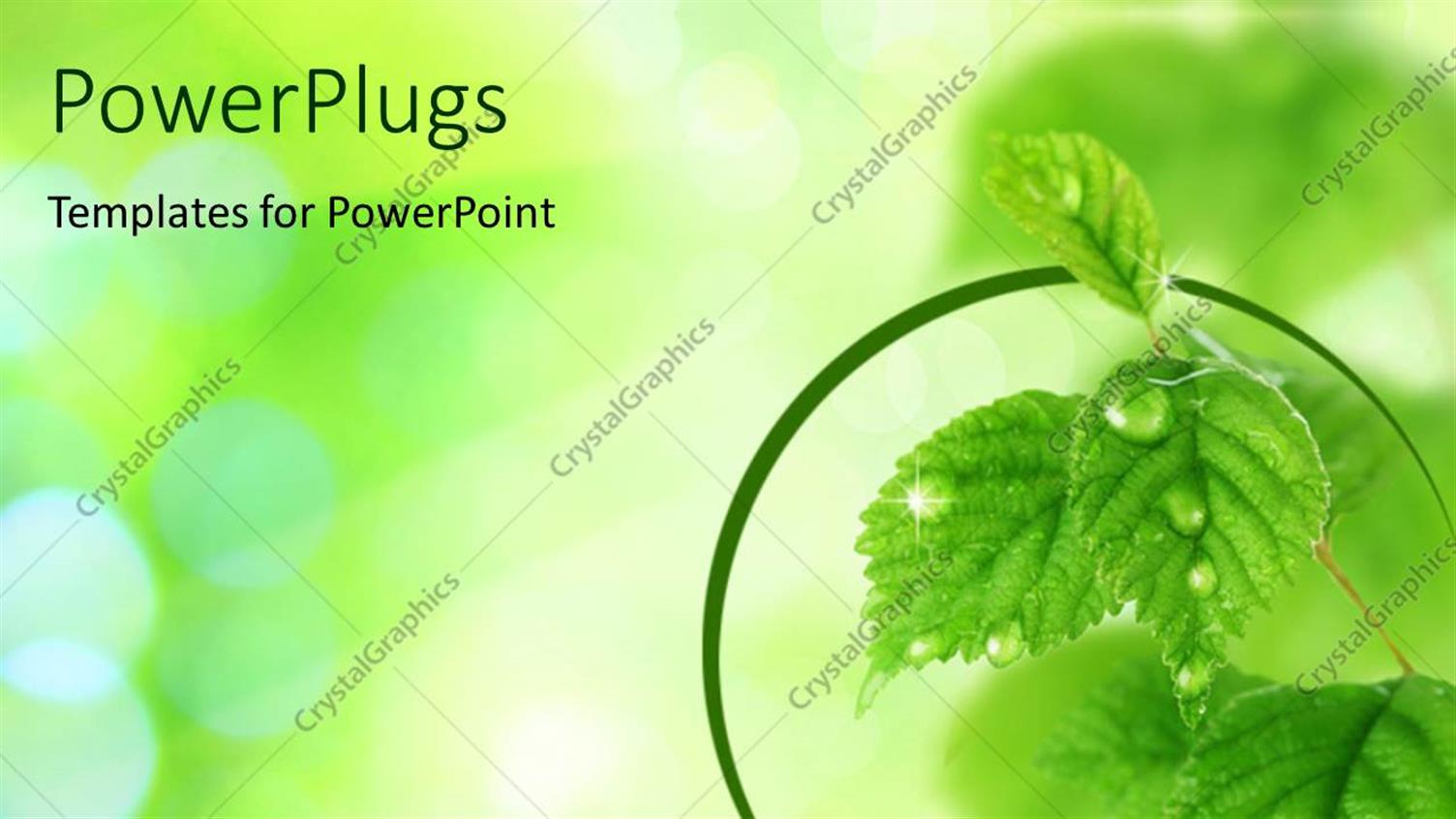 Premium Template for PowerPoint & Google Slides 