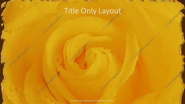 Title Only presentation slide layout