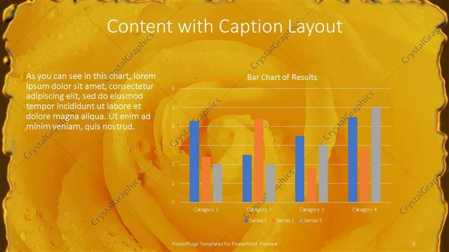 Content with Caption presentation slide layout