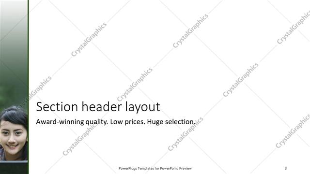 Section Header presentation slide layout