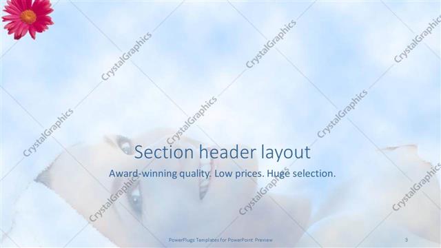Section Header presentation slide layout