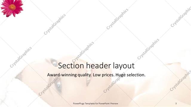 Section Header presentation slide layout