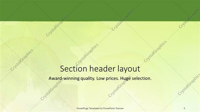 Section Header presentation slide layout