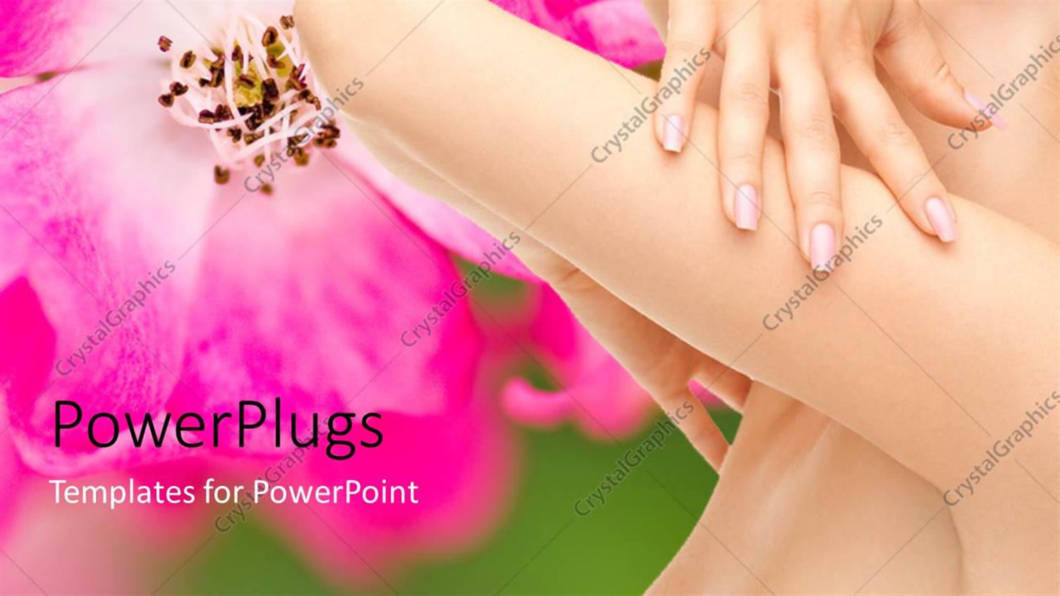 Premium Template for PowerPoint & Google Slides 