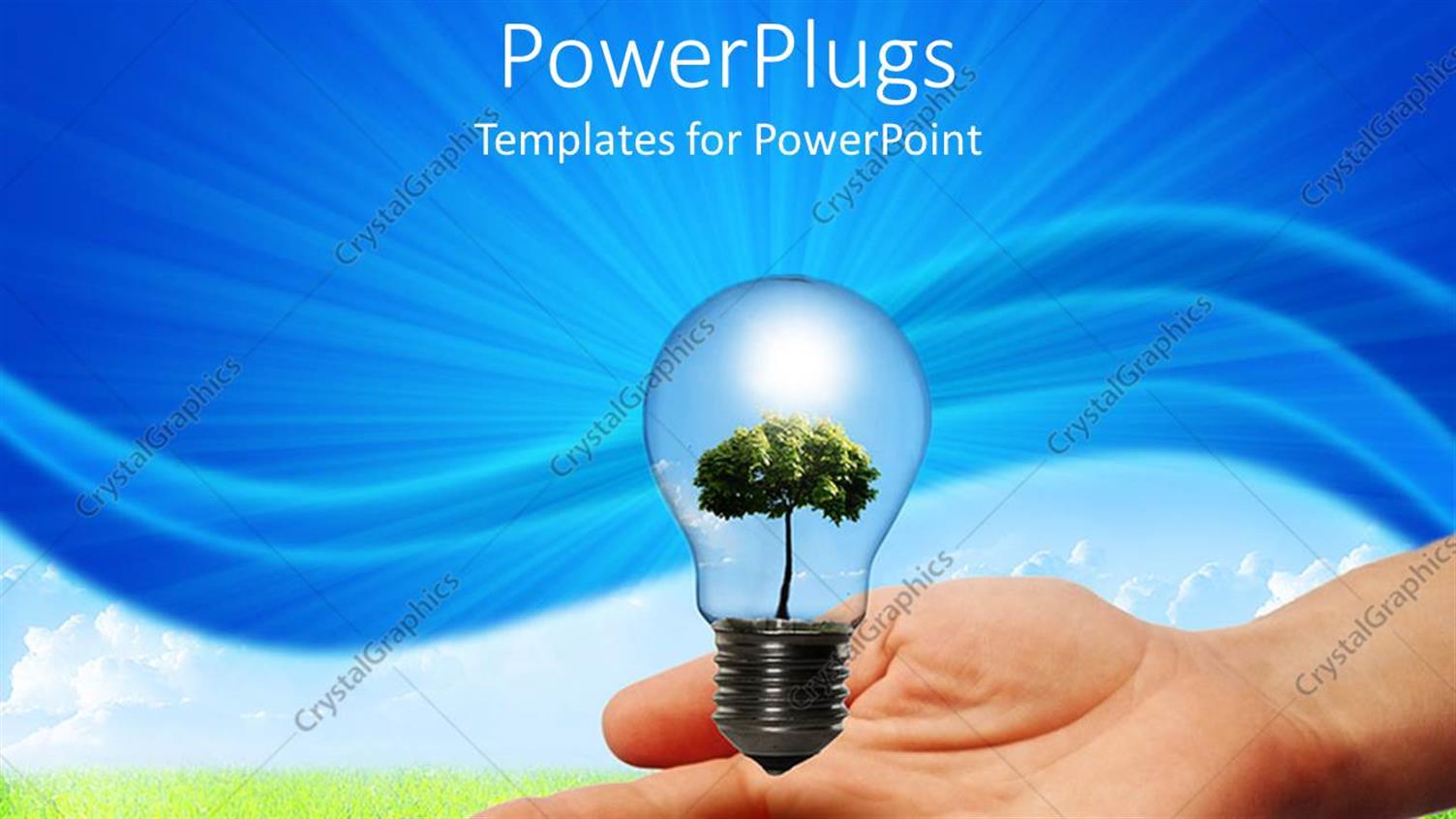 Premium Template for PowerPoint & Google Slides 