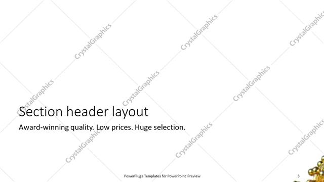 Section Header presentation slide layout