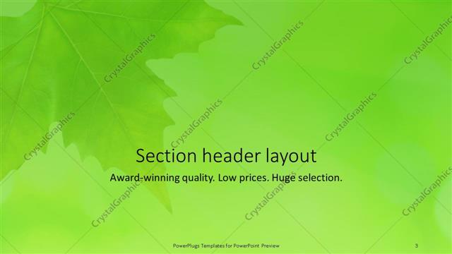 Section Header presentation slide layout