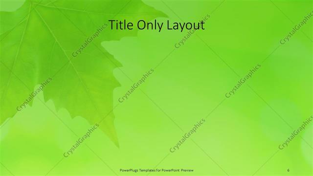 Title Only presentation slide layout