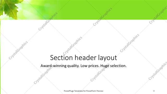 Section Header presentation slide layout