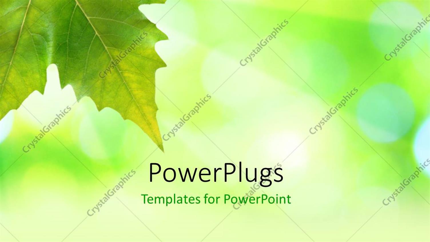 Premium Template for PowerPoint & Google Slides 