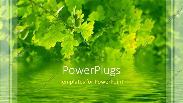  Presentation with tree river - Beautiful green oak tree thriving beside river