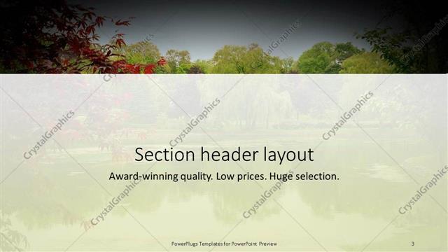 Section Header presentation slide layout