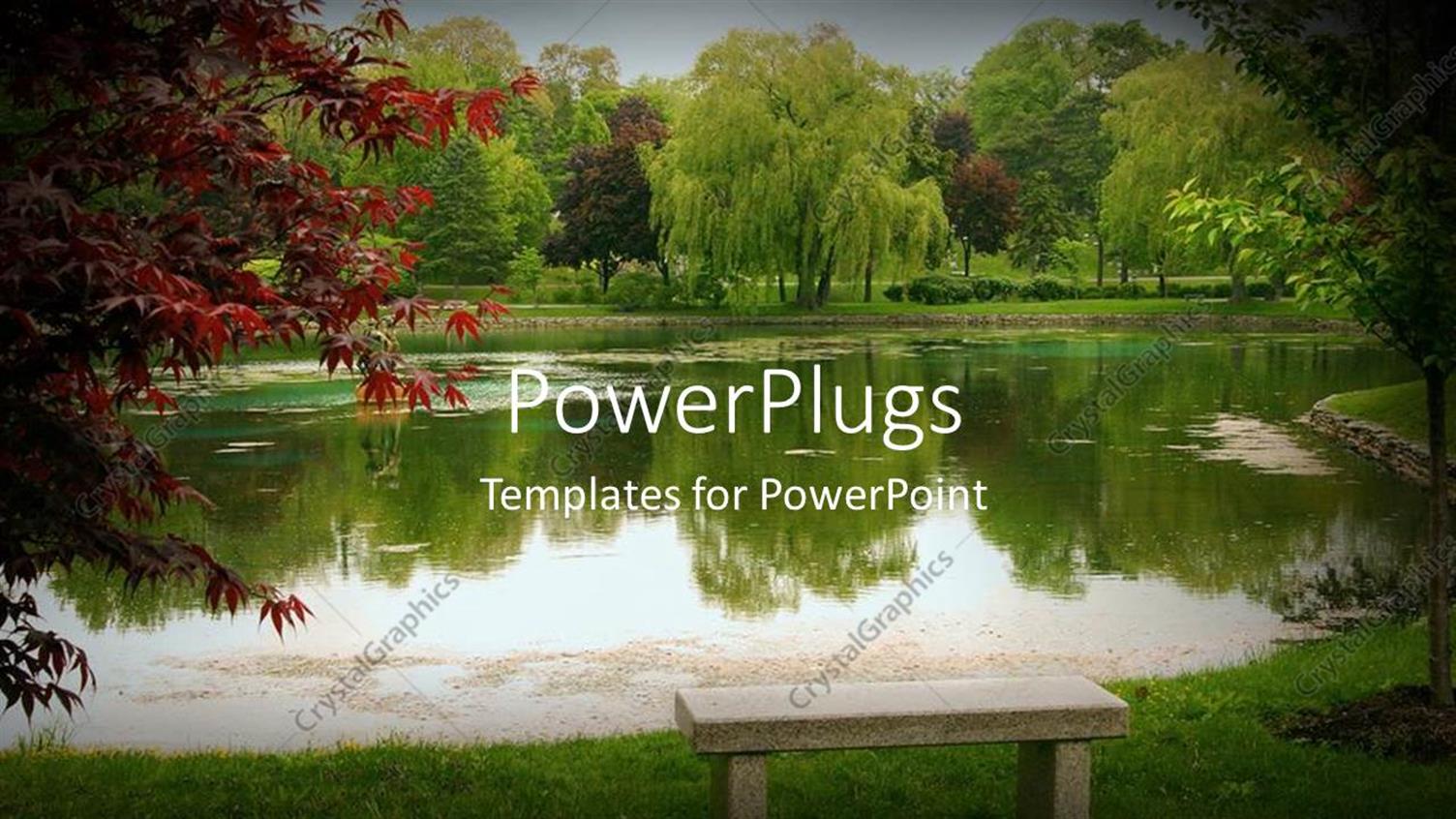 Premium Template for PowerPoint & Google Slides 
