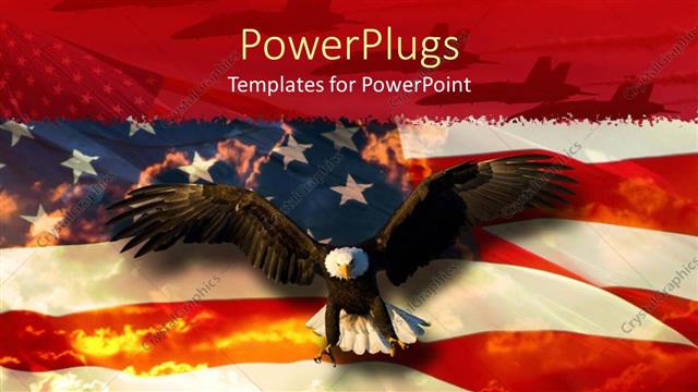  Presentation with hawk - A beautiful hawk with an American flag in the background