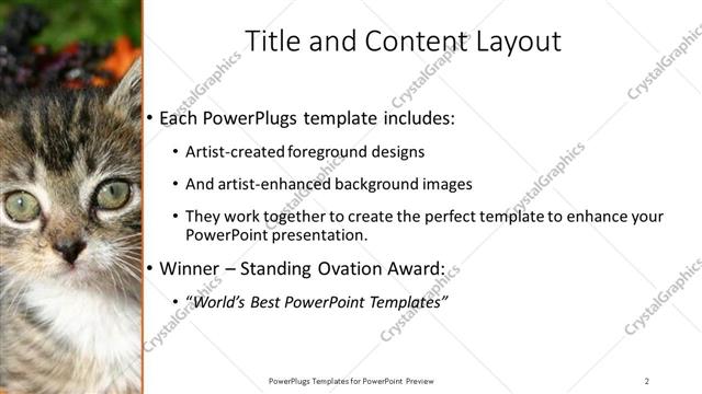 Title and Content presentation slide layout