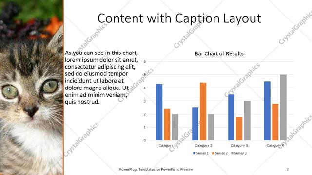 Content with Caption presentation slide layout