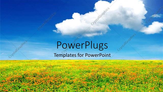  Presentation with field - Beautiful landscape of flourishing flower field with cloud forming in blue sky