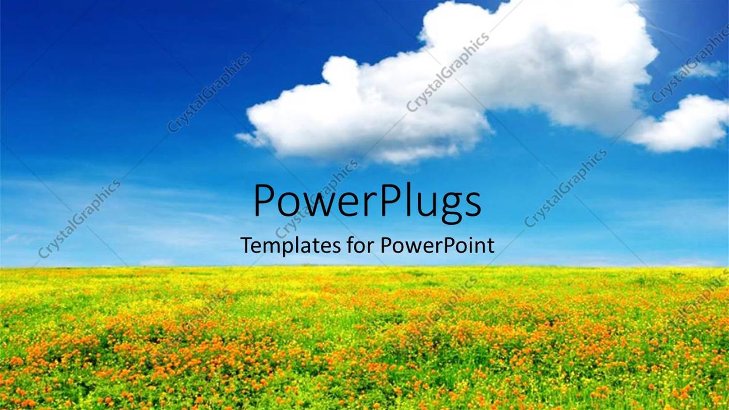 Premium Template for PowerPoint & Google Slides 