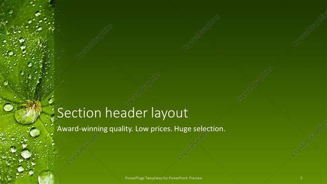 Section Header presentation slide layout