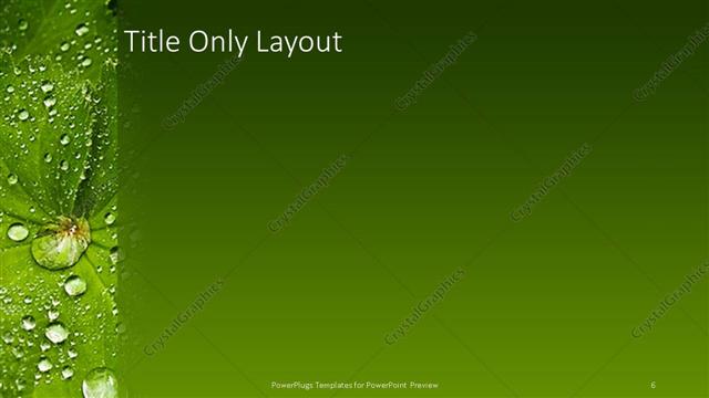 Title Only presentation slide layout