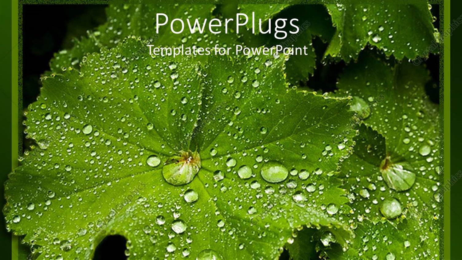 Premium Template for PowerPoint & Google Slides 