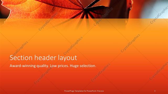 Section Header presentation slide layout