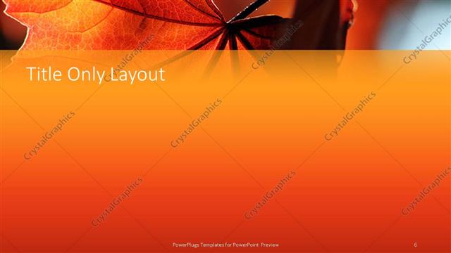 Title Only presentation slide layout