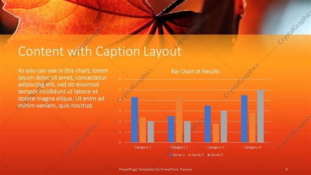 Content with Caption presentation slide layout