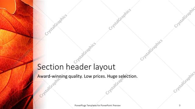 Section Header presentation slide layout