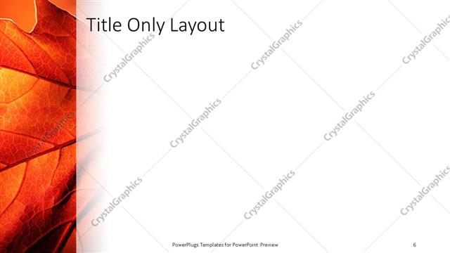 Title Only presentation slide layout