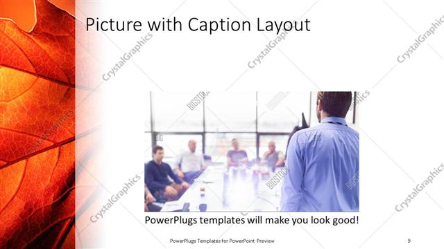 Picture with Caption presentation slide layout